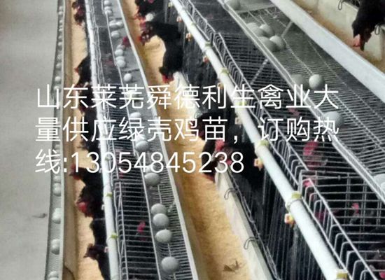 鿴ϸϢ⣺̿ǵ Ķ2247